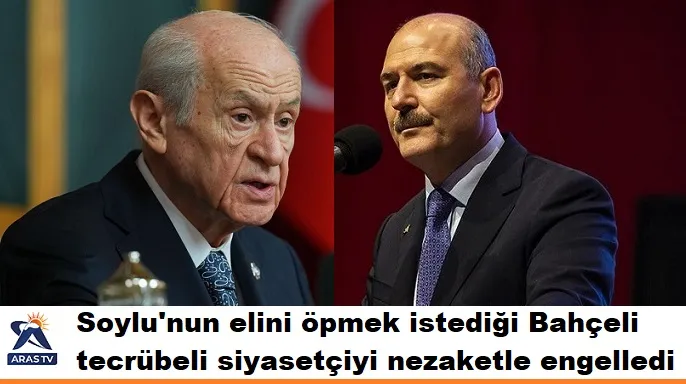 Soylu