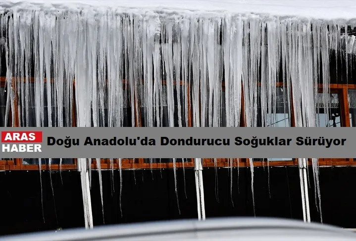 ARABALAR BATTANİYELERİNİ ÖRTÜNDÜ