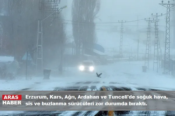 Doğu