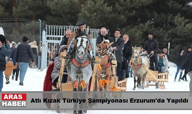 Atlı Kızak Türkiye Şampiyonası Erzurum