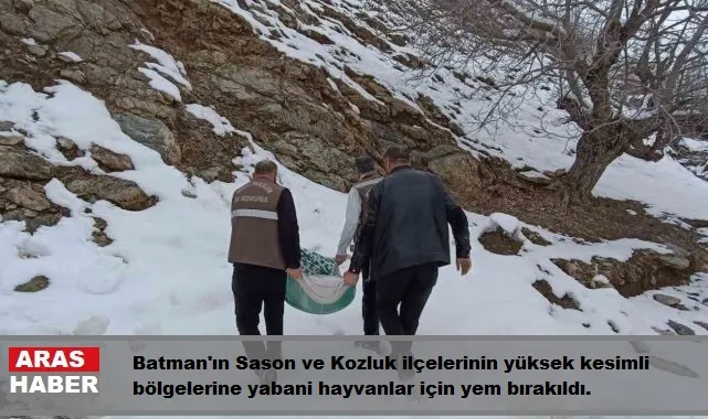 Hayvanlar için doğaya yem bırakıldı   