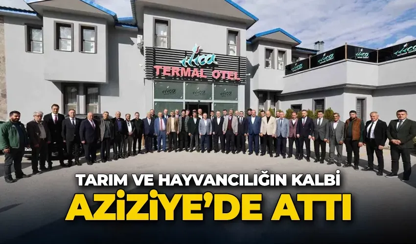 ARAS TV