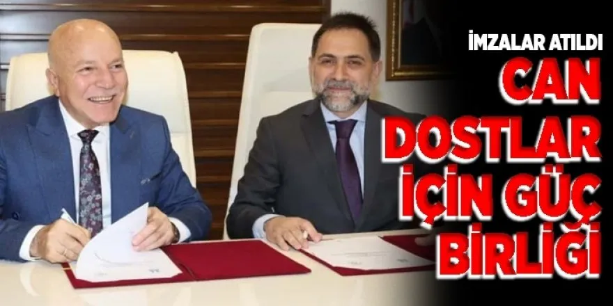ARAS TV