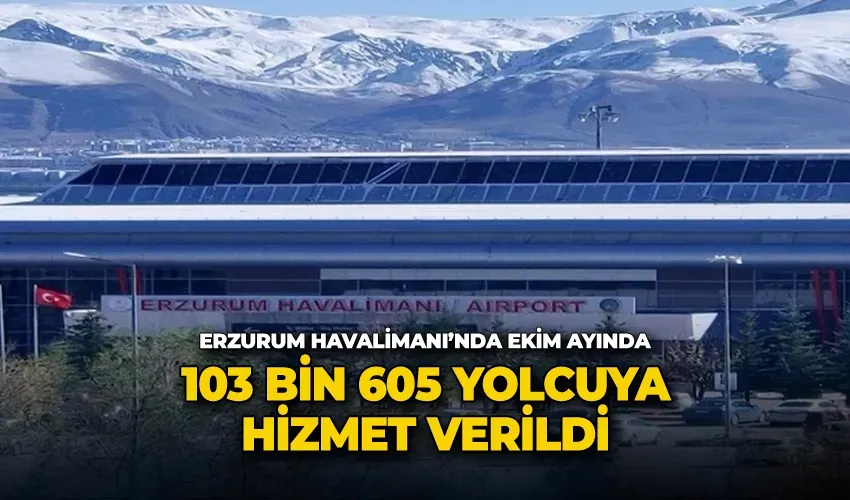 Erzurum Havalimanı