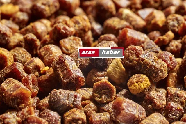 Geçmişte çöpe gidiyordu, şimdi kilosu 3 bin TL