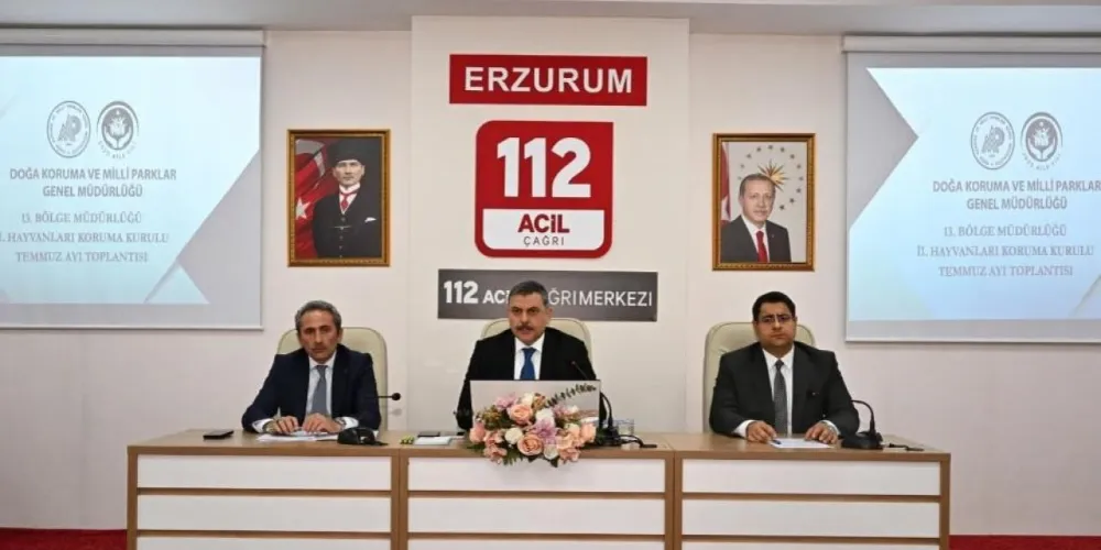 Sokak hayvanları mercek altında