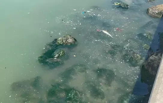 İzmir Körfezi